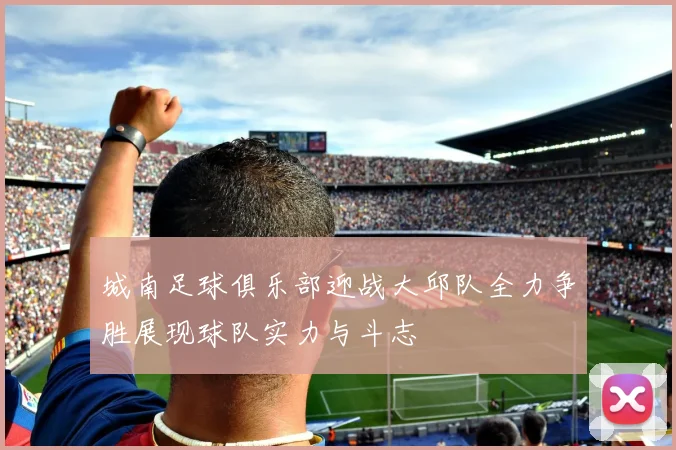 城南足球俱乐部迎战大邱队全力争胜展现球队实力与斗志